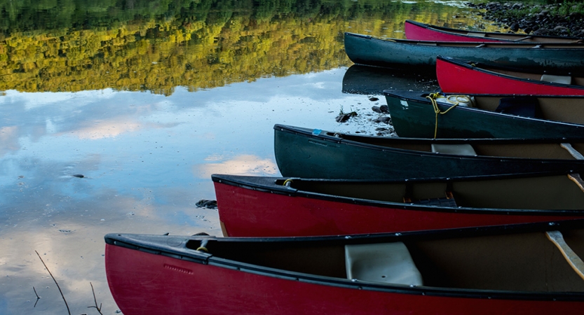 A group of canoes rest near the shore